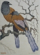 Image GALERIE MICHEL CABOTSE - La galerie vous propose diff�rentes �ditions : l'annuaire CNES, Catalogue William Laparra, Jacques Mennessons, L�on Germain, poster de Boutet